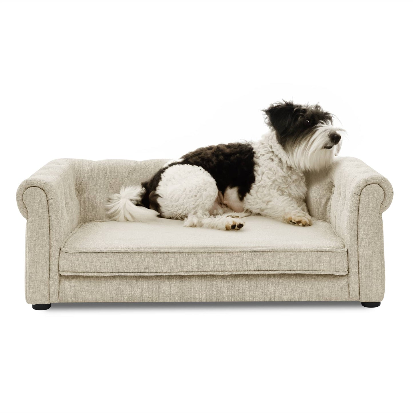 Modern Elegant Rectangle Pet Bed, Durable Elevated Dog Sofa, Beige Foam 40'*23'*14'